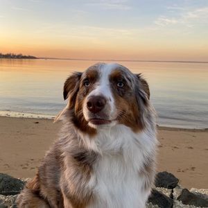 Meet your Posher, Eva